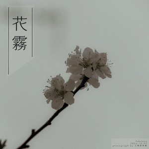 桃花盛开无码AvcoM
